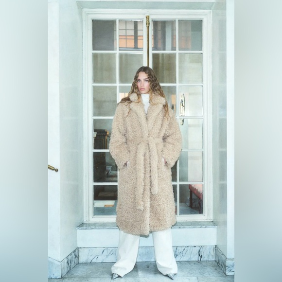 H&M TIE-BELT TEDDY FLEECE COAT - Picture 3 of 6